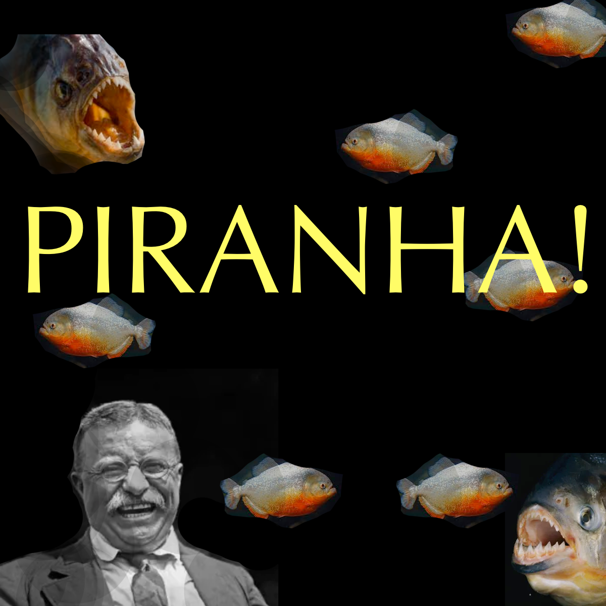 piranha fish eat cow