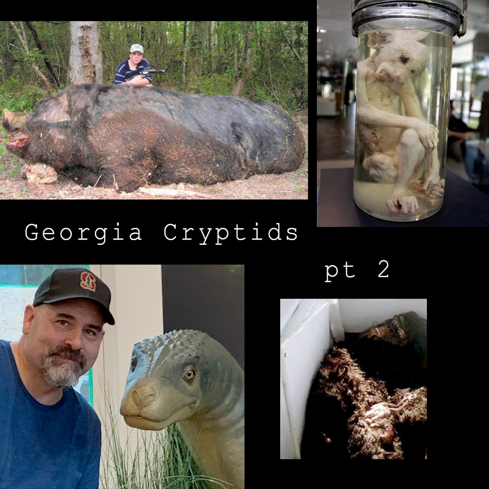 310 – S2E49 – Georgia Cryptids part 2