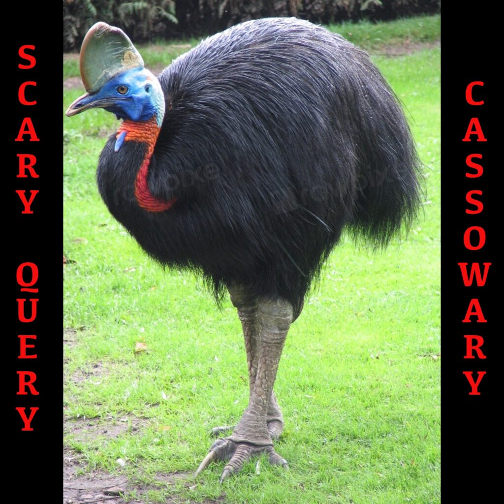 S03E38 – Scary Query: Cassowary